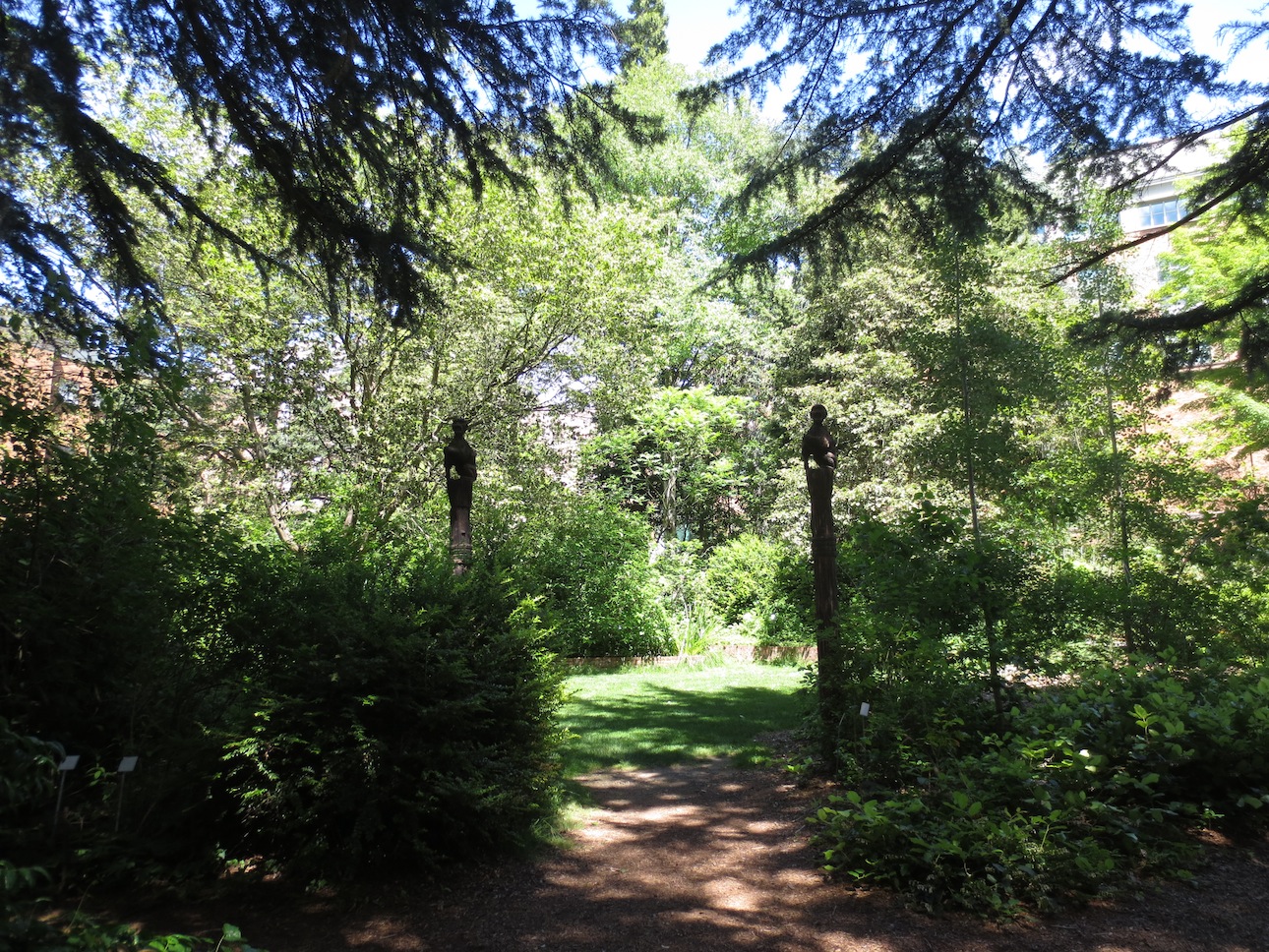 Trees surrounding a garden on UW campus.