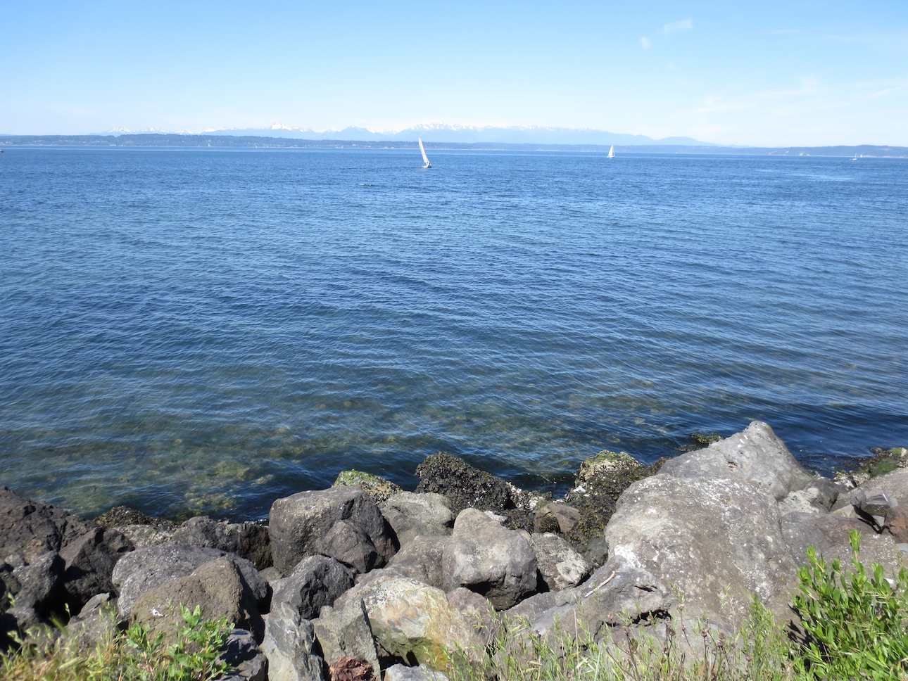 People sailing out on a clear day.