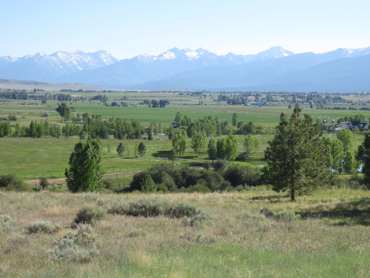 View of the mountains from Hamilton, Montana.