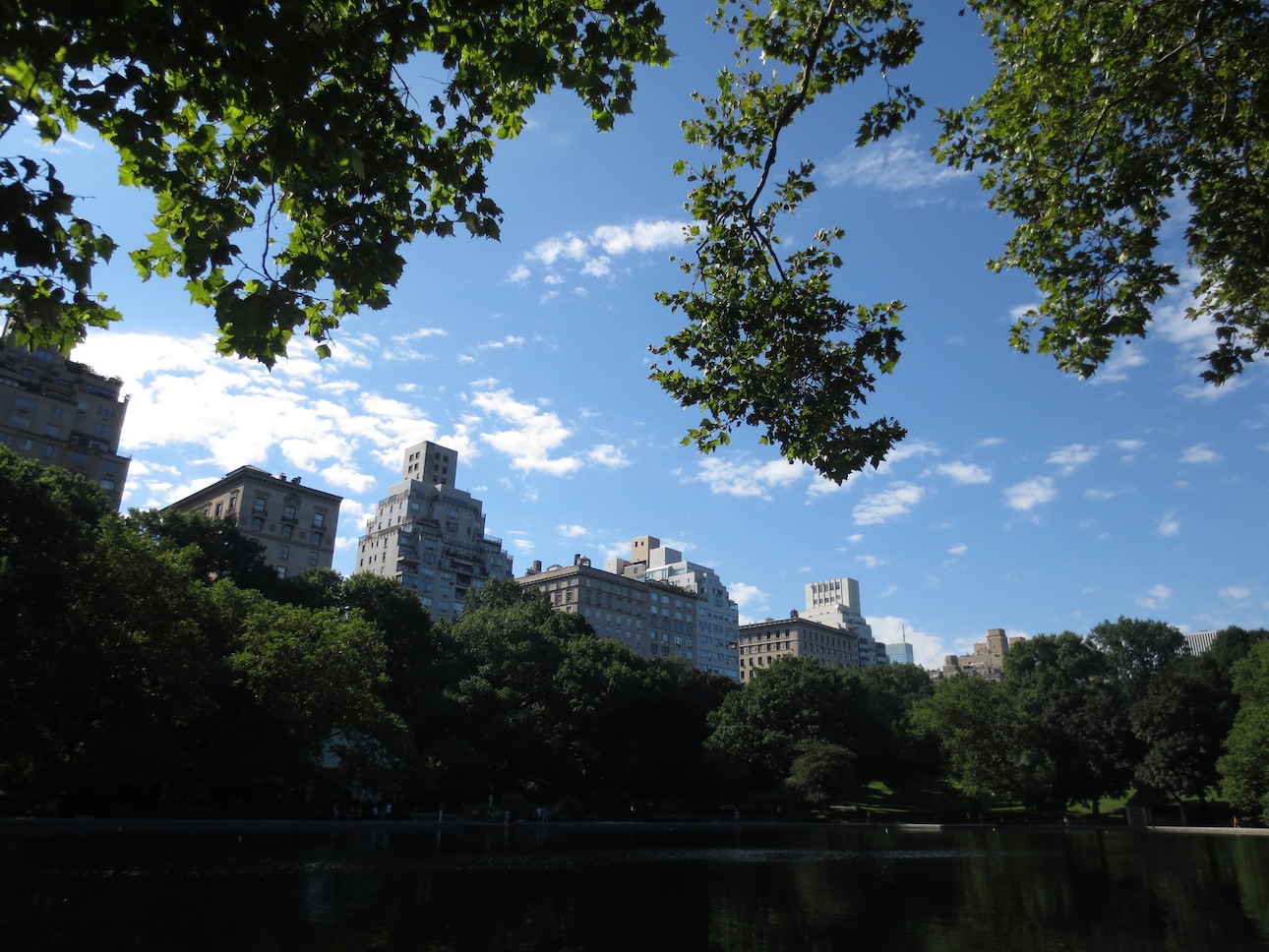 Upper East Side view from Central Park.
