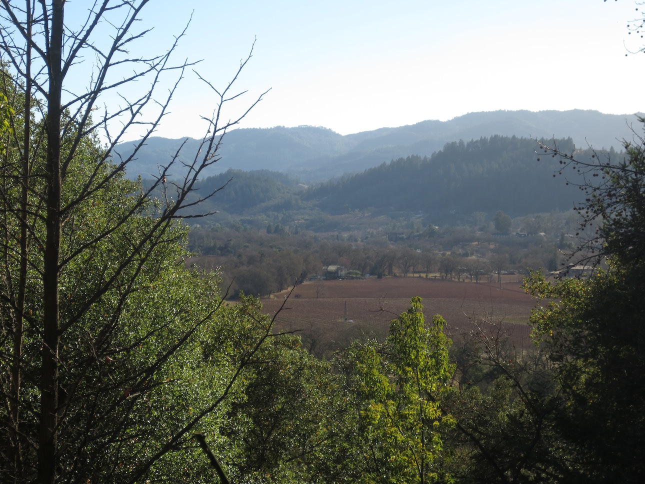 An amazing view from the front porch of Rombauer winery