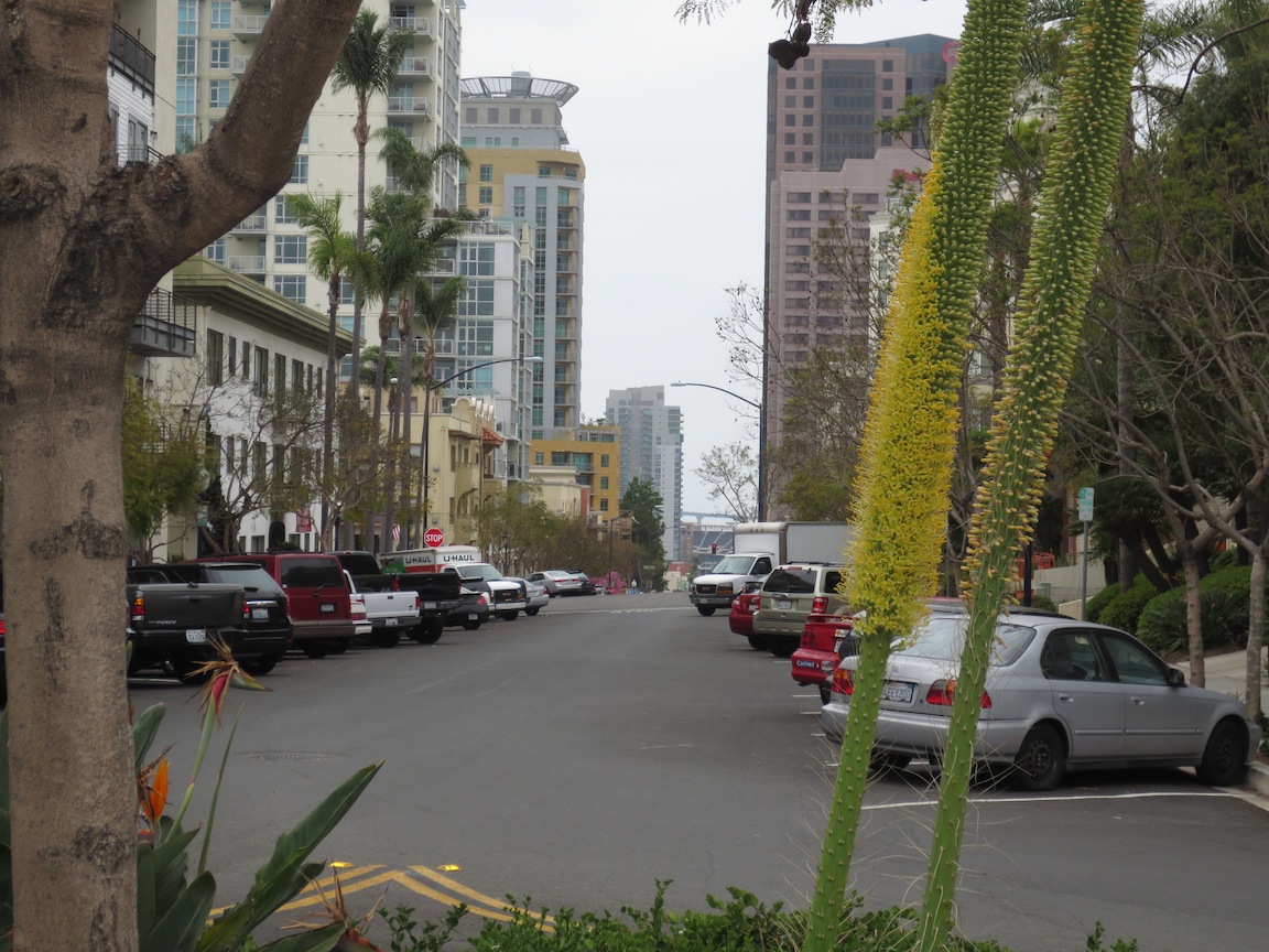 Streets of San Diego with Padres' stadium in the distance