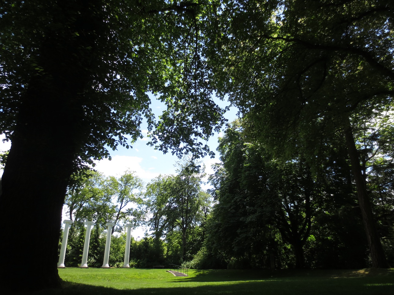 Grove next to UW computer science building.