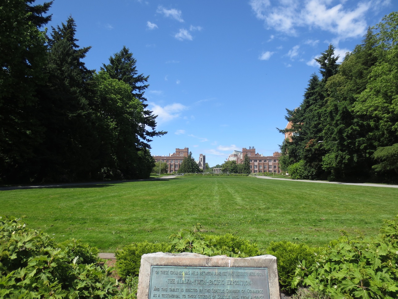 Plaque and field looking up at UW campus.