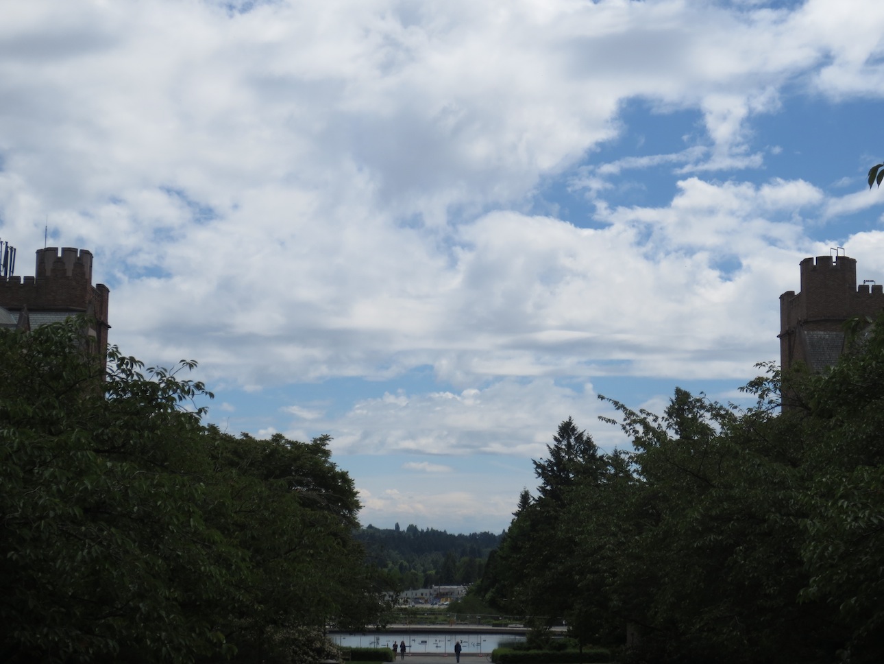 View at the center of UW campus.