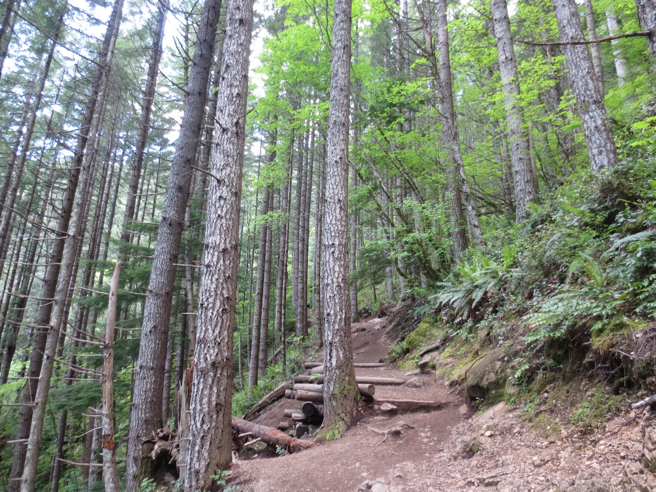 Looking up at the mountain peak.