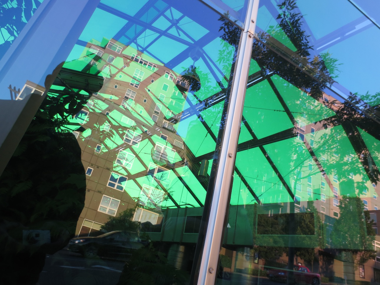 Reflection in the window of a greenhouse downtown.