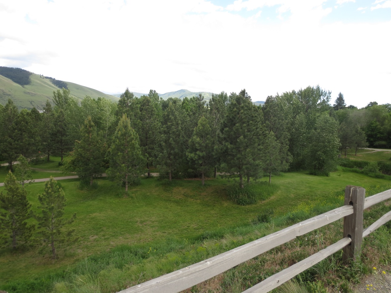 View from the Missoula trails.