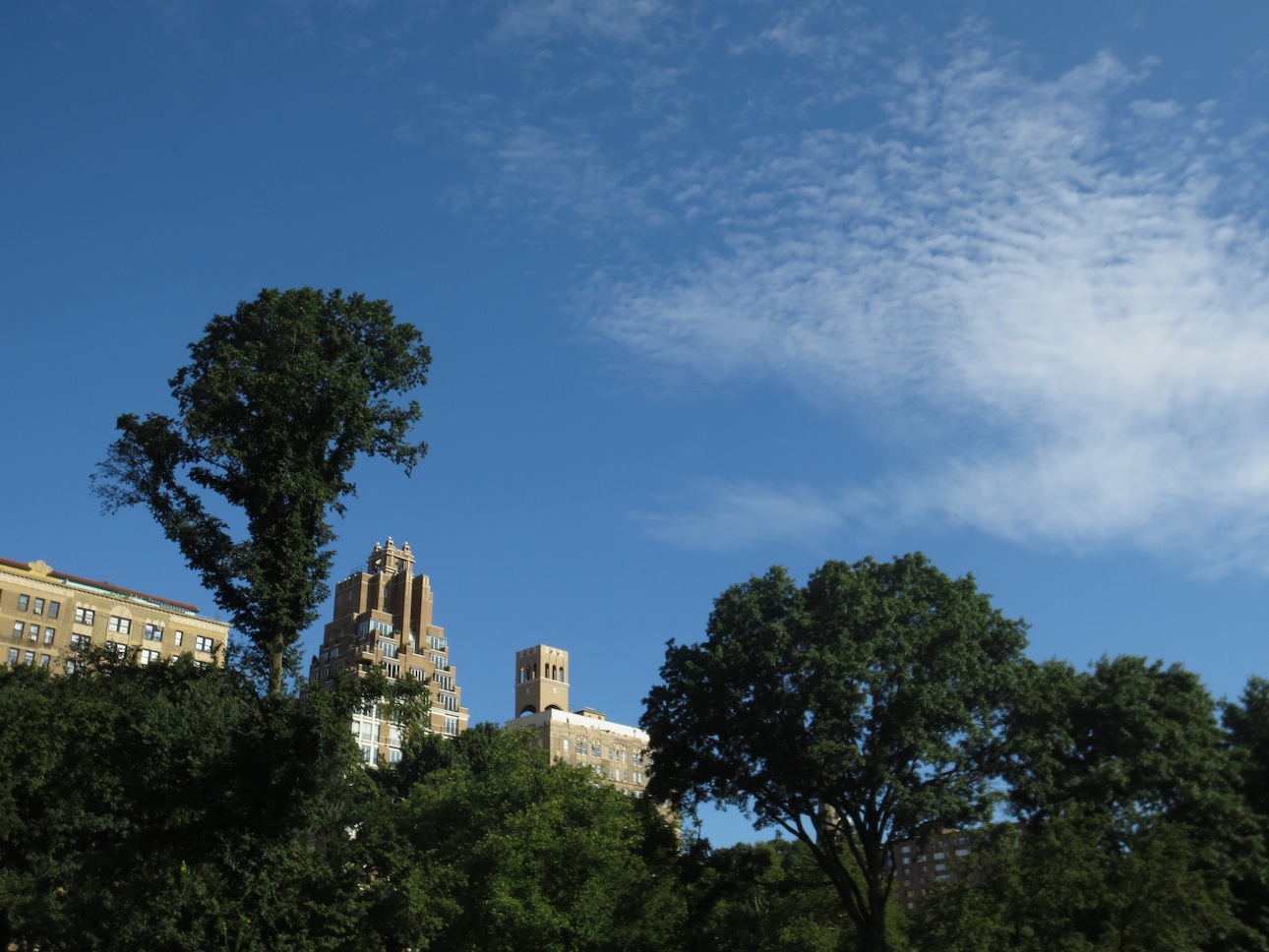 Beautiful morning in Central Park.