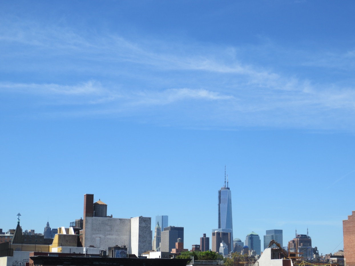 The New York City skyline view from the East Village.