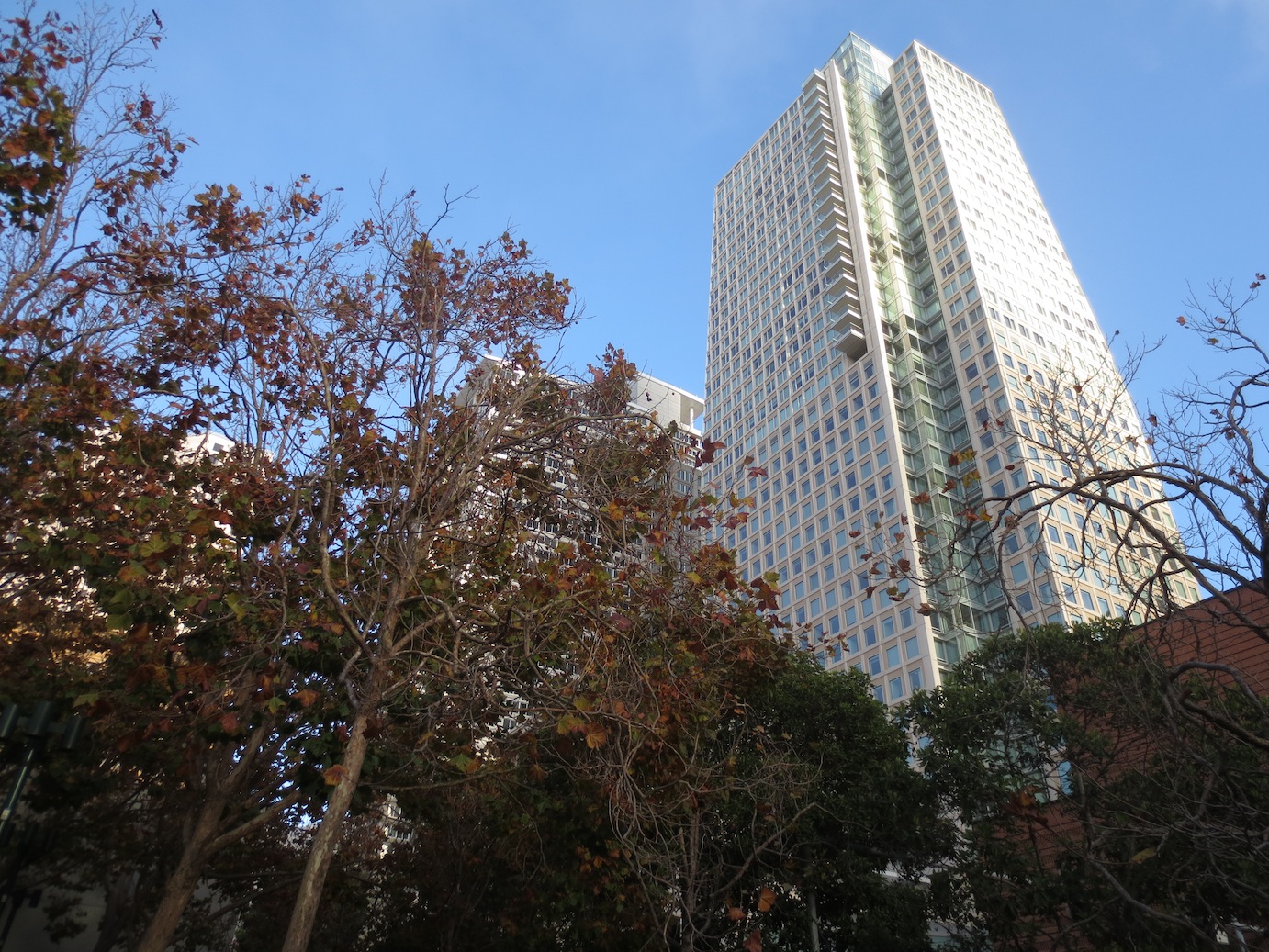 Looking up at one of the buildings from the park