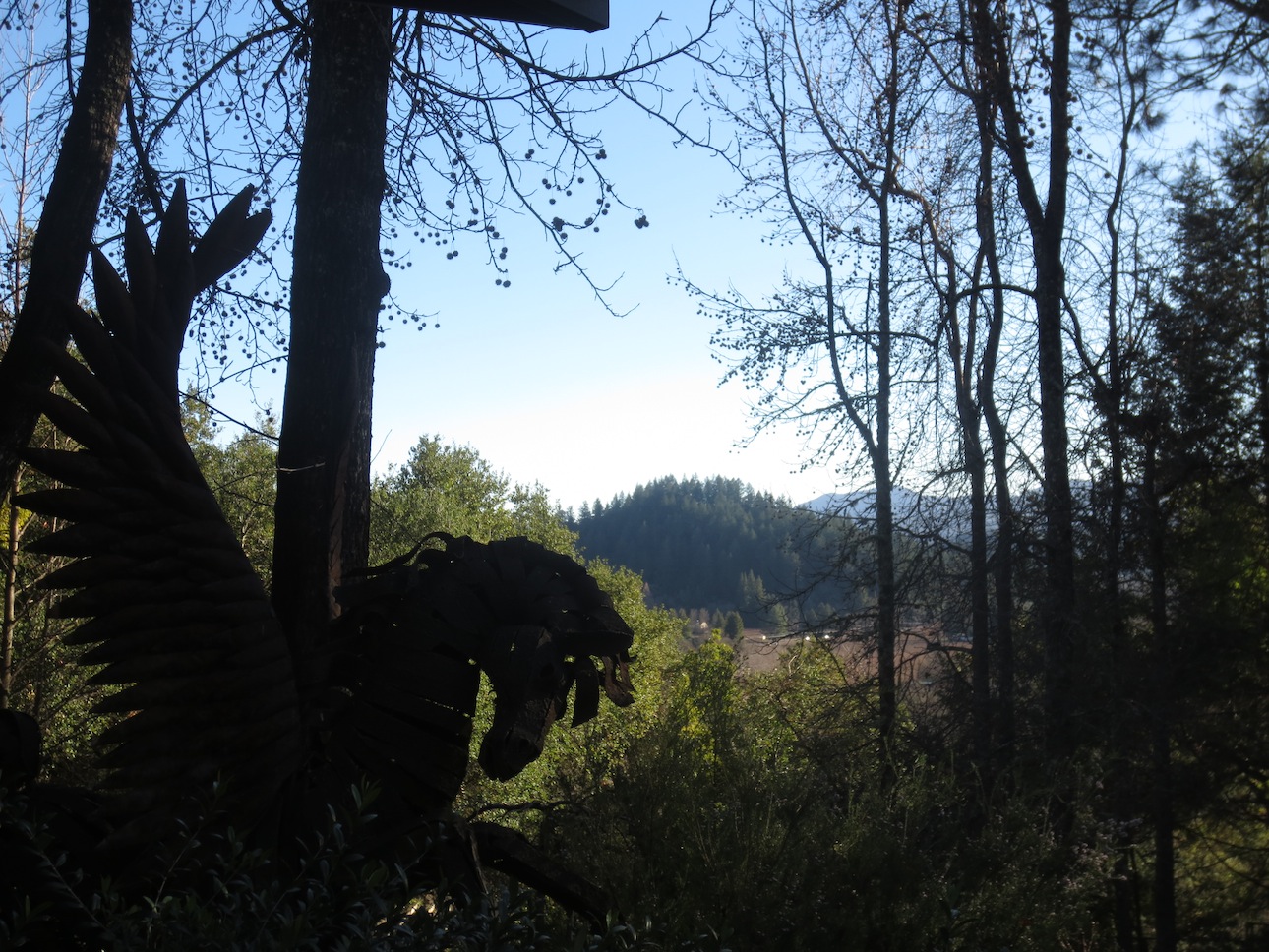 Interesting flying horse statue outside Rombauer