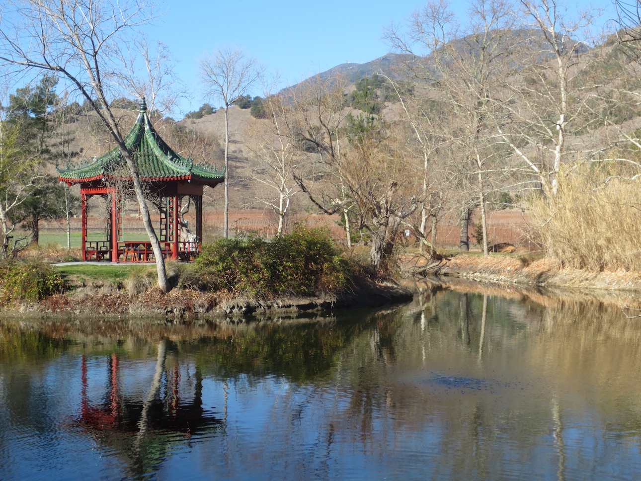 Pond at Chateau Montelena winery.